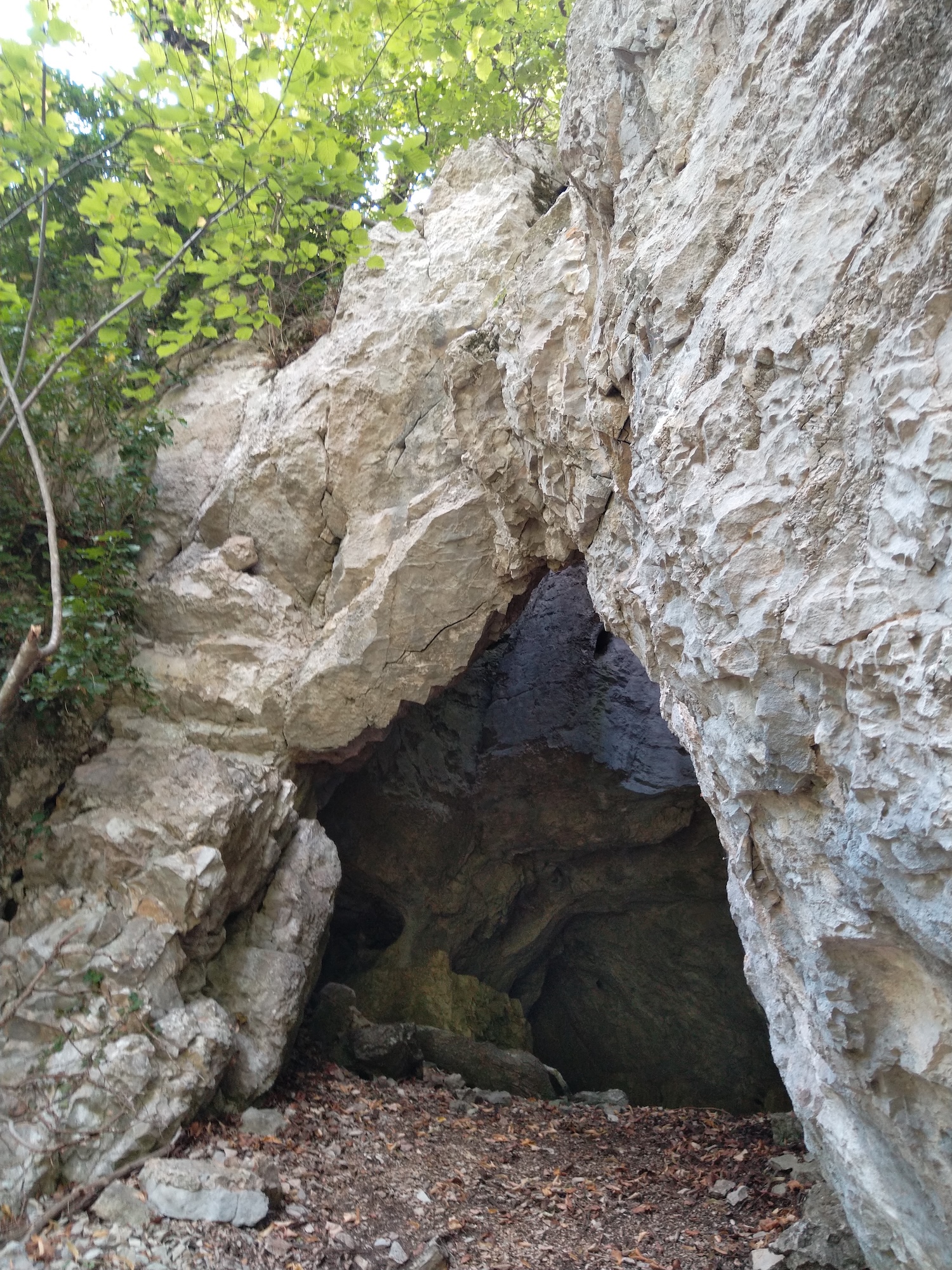 Peștera Toplița Nr.3 - Image 1